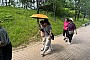 사진:6.19 _ 샤론봉사단과 함께하는 보행