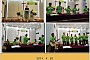사진:찾아가는 음악회 - 행복한교회 2015.9.20