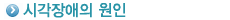 시각장애의 원인