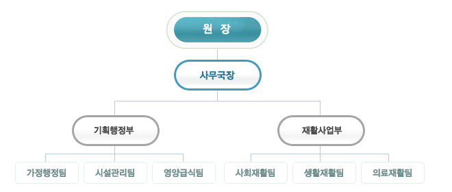 시각장애의 원인